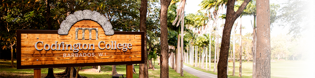 Codrington Estates Development Company Limited