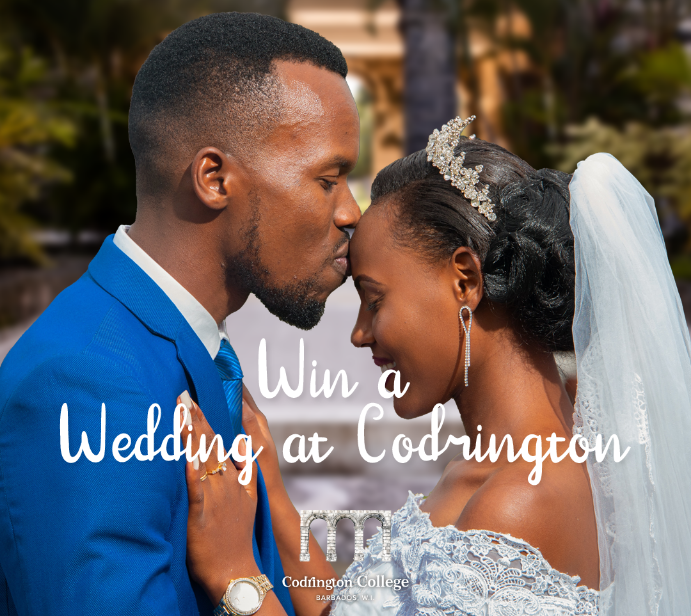 Email : cedcl@cedclbarbados.com
